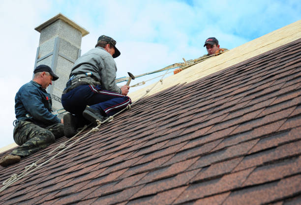 Best Gutter Installation and Roofing  in Saratoga, CA